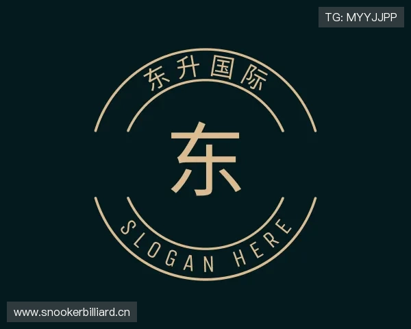 了解东升国际官网